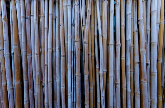 Discovering Eco-Friendly Bamboo Nappies vs. Disposable Diapers