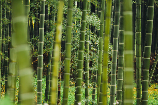 Understanding Nappy Rash  How Bamboo Nappies Can Help