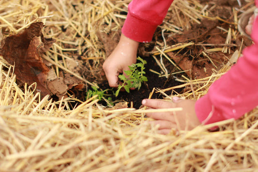 The Power of Education in Sustainable Parenting Choices