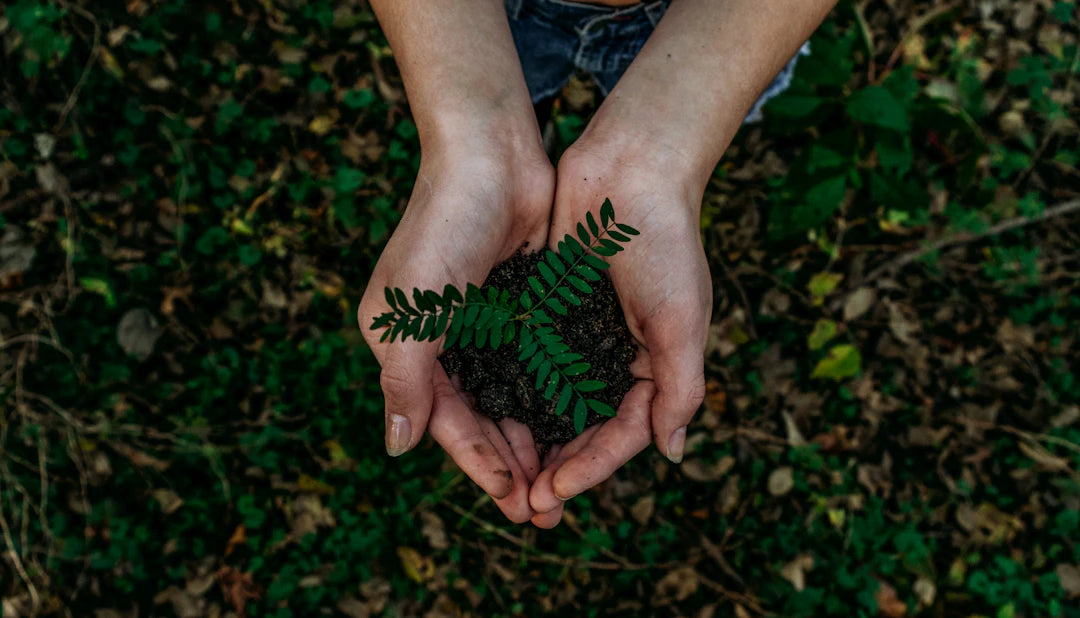 Embrace Sustainable Parenting Your Guide to a Greener Future