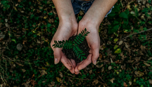 Embrace Sustainable Parenting Your Guide to a Greener Future