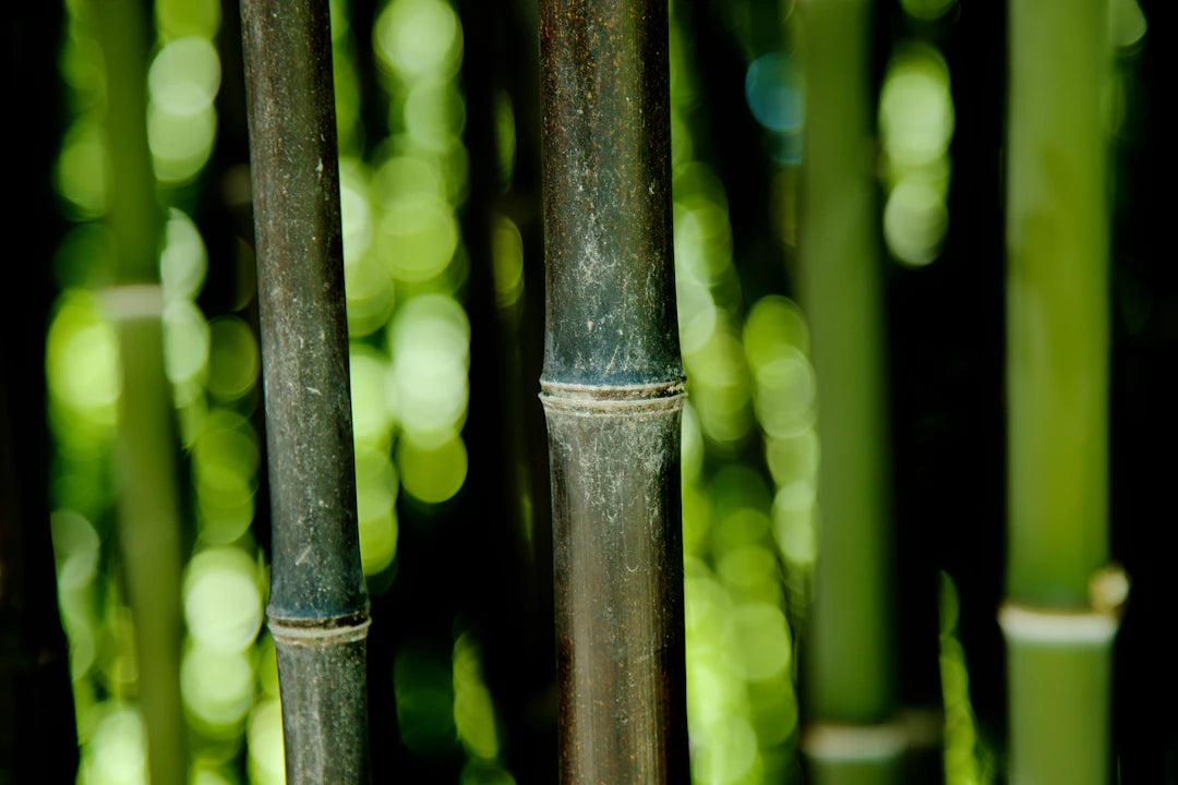 Why Bamboo Nappies are Your Best Hypoallergenic Choice