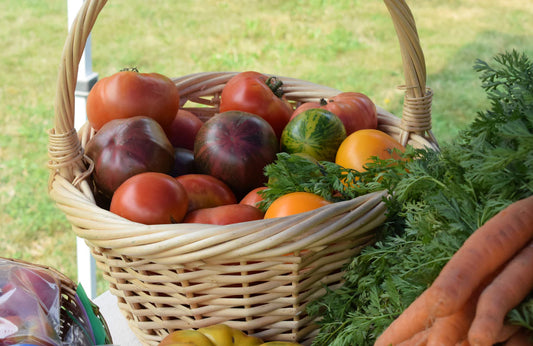 Feed Your Baby Sustainably Beyond Nappies