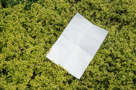 Unlocking the Secrets of Organic Nappies Certifications